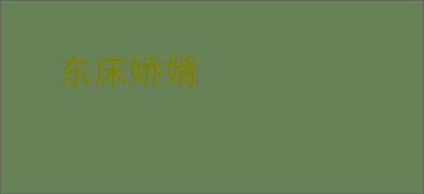 东床娇婿
