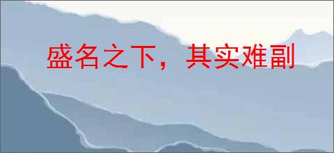 盛名之下，其实难副