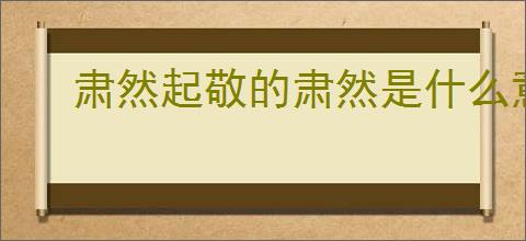 肃然起敬的肃然是什么意思