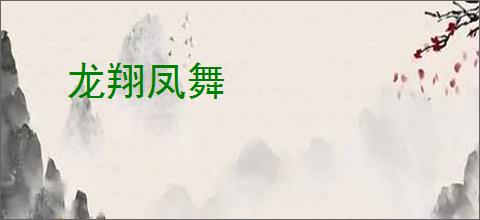 龙翔凤舞