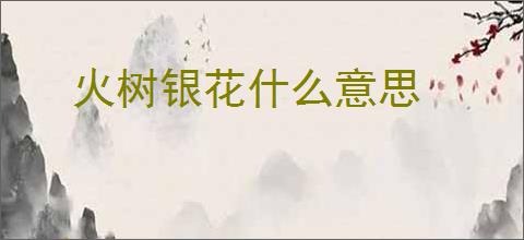 火树银花什么意思