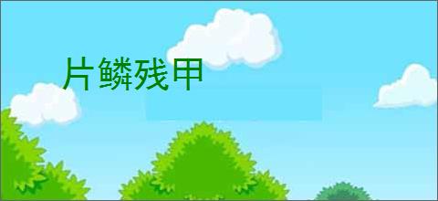 片鳞残甲