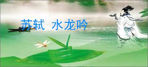 苏轼 水龙吟
