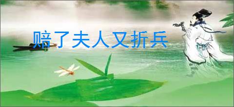 赔了夫人又折兵