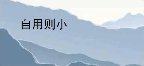 自用则小