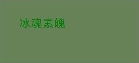 冰魂素魄