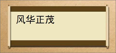 风华正茂