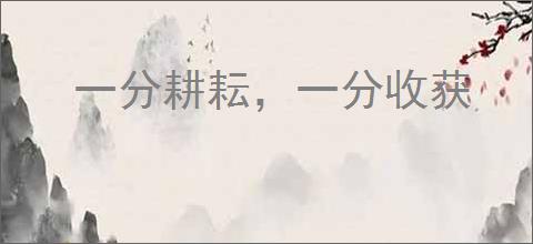 一分耕耘，一分收获