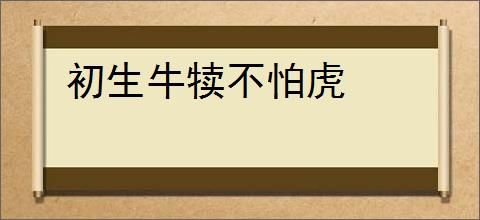 初生牛犊不怕虎
