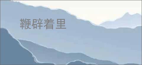 鞭辟着里
