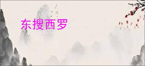 东搜西罗
