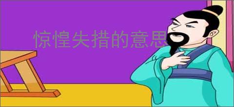 惊惶失措的意思