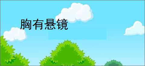 胸有悬镜