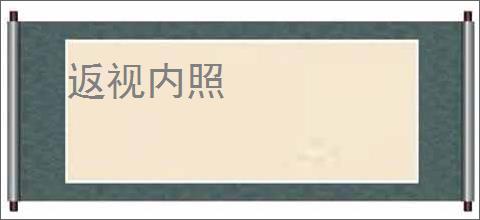 返视内照