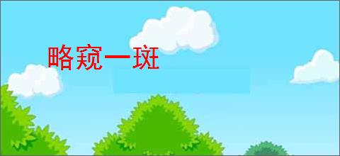 略窥一斑